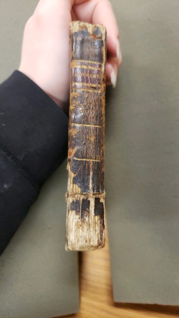 Spine